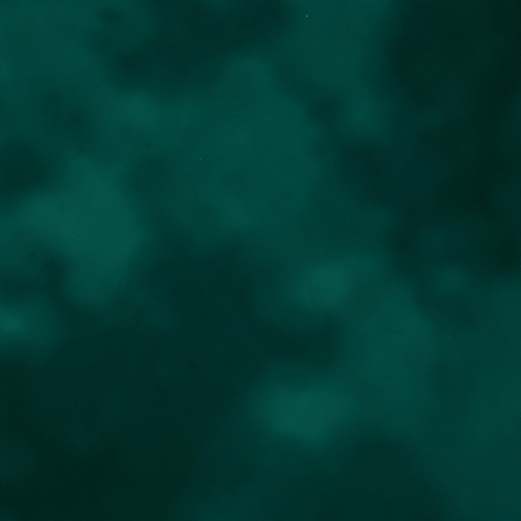 A duotone close-up in deep green and blush of hands clasped together, conveying solidarity and mutual support.