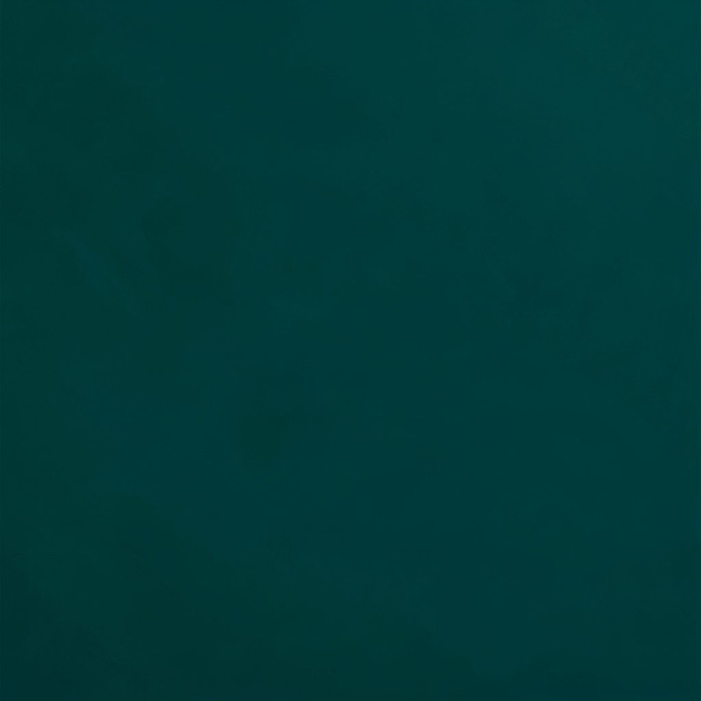 A warm duotone photograph of a diverse group of advocates standing together in solidarity, rendered in deep emerald green and soft blush tones, conveying community and hope.